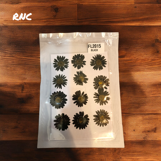 Pressed Dried Daisy Flower Sheet (Black)