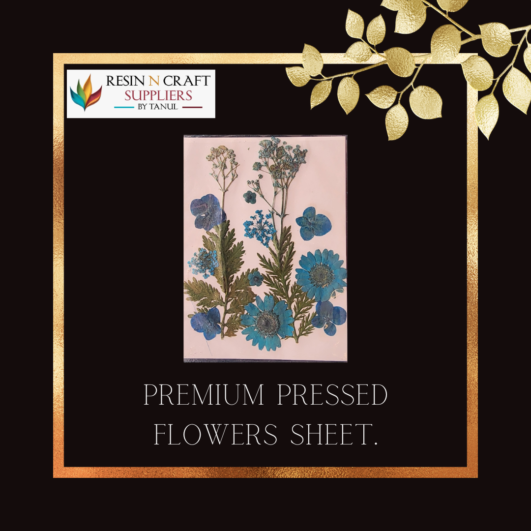 Premium Pressed Flower Sheet