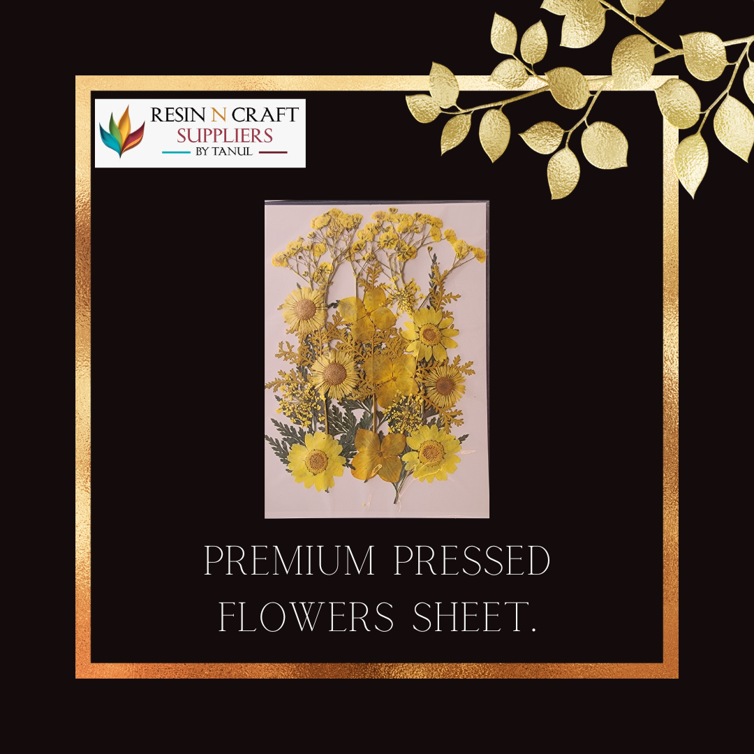 Premium Pressed Flower Sheet.