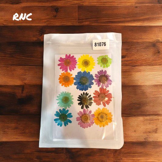 Premium Pressed Daisy MultiColor Flower Sheet