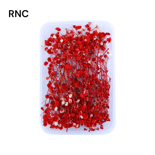 Baby Breath Dry Flower - Red