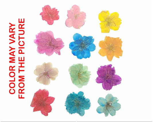 81315 Premium Pressed Flower Sheet