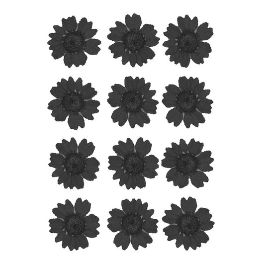Black Daisy Flower Sheet