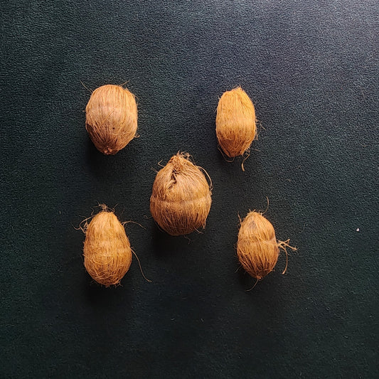 Dry Nariyal for Pooja & Festive Use 5 pc