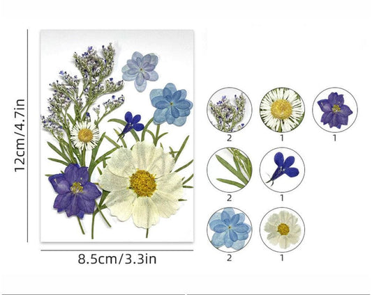 FL175 10 In 1 Pressed Flowers Fl175