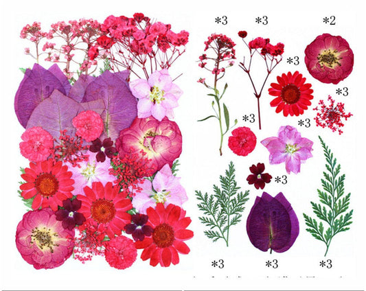 FL157 32 In 1 Pressed Flowers Fl157