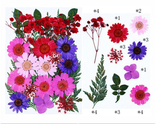 FL077 25 In 1 Pressed Flowers Fl077