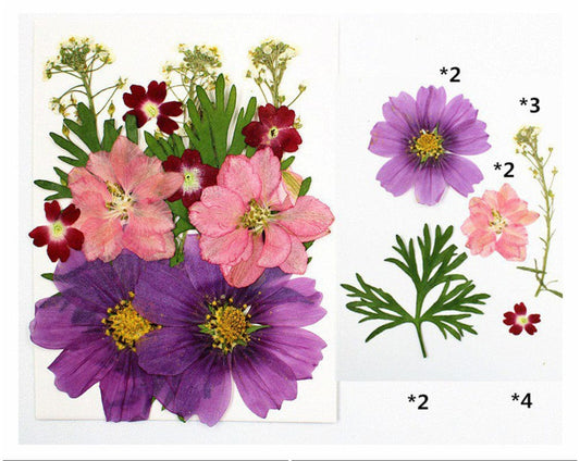 FL034 15 In 1 Pressed Flowers Fl034
