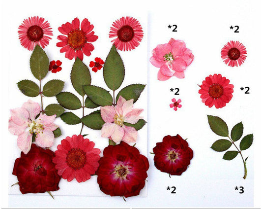 FL032 13 In 1 Pressed Flowers Fl032