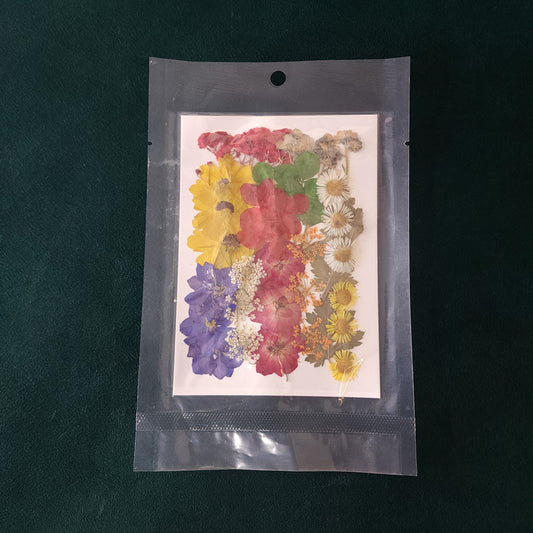 Fl156 36 In 1 Pressed Flowers