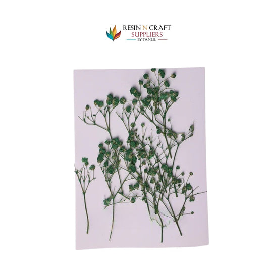 Baby Breath - Green