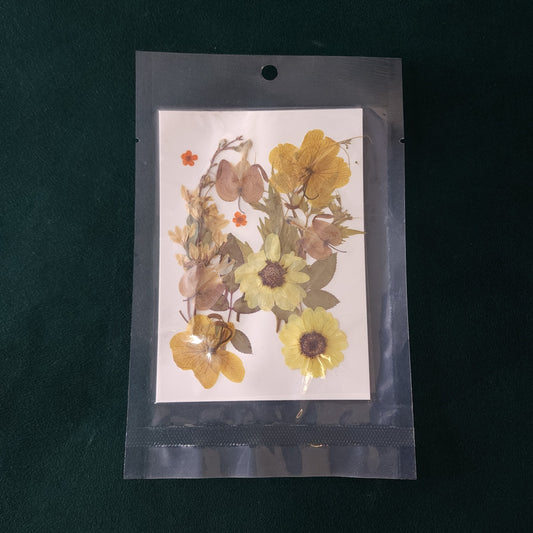 15 In 1 Pressed Flowers Fl187