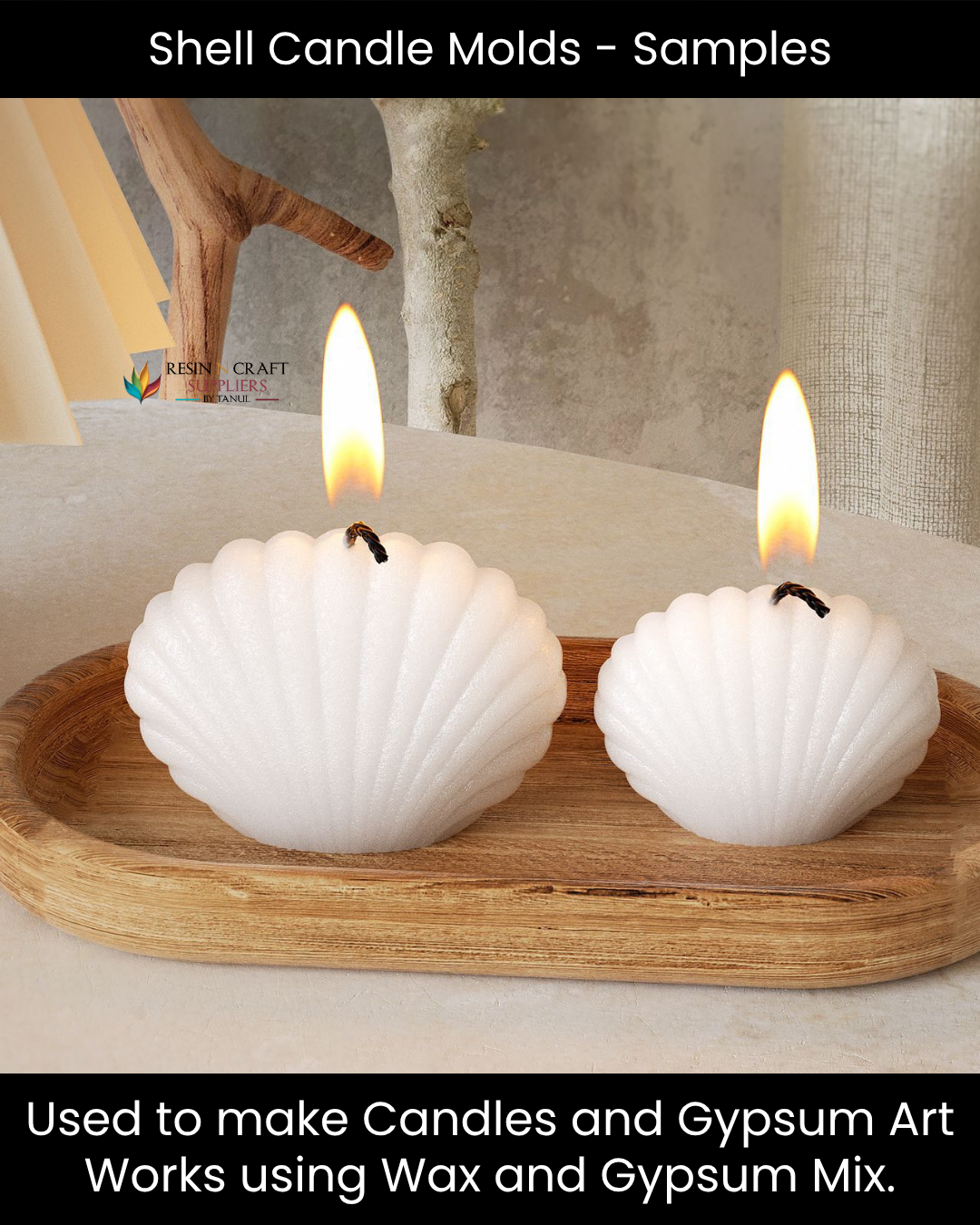 Mini Coastal Charm Shell Mold (Shell Candle Mould Medium)
