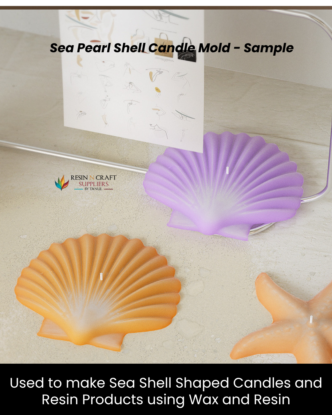 Sea Pearl Shell Candle Mold