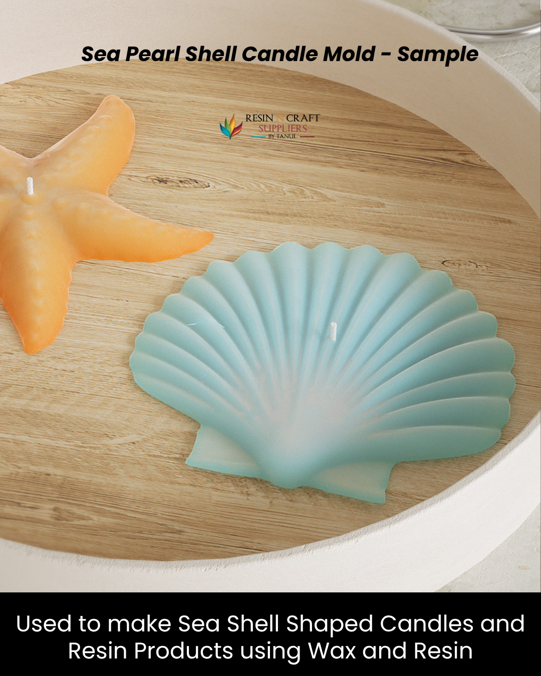 Sea Pearl Shell Candle Mold