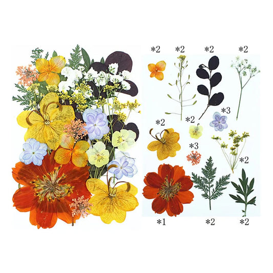 25 In 1 Pressed Flowers FL016