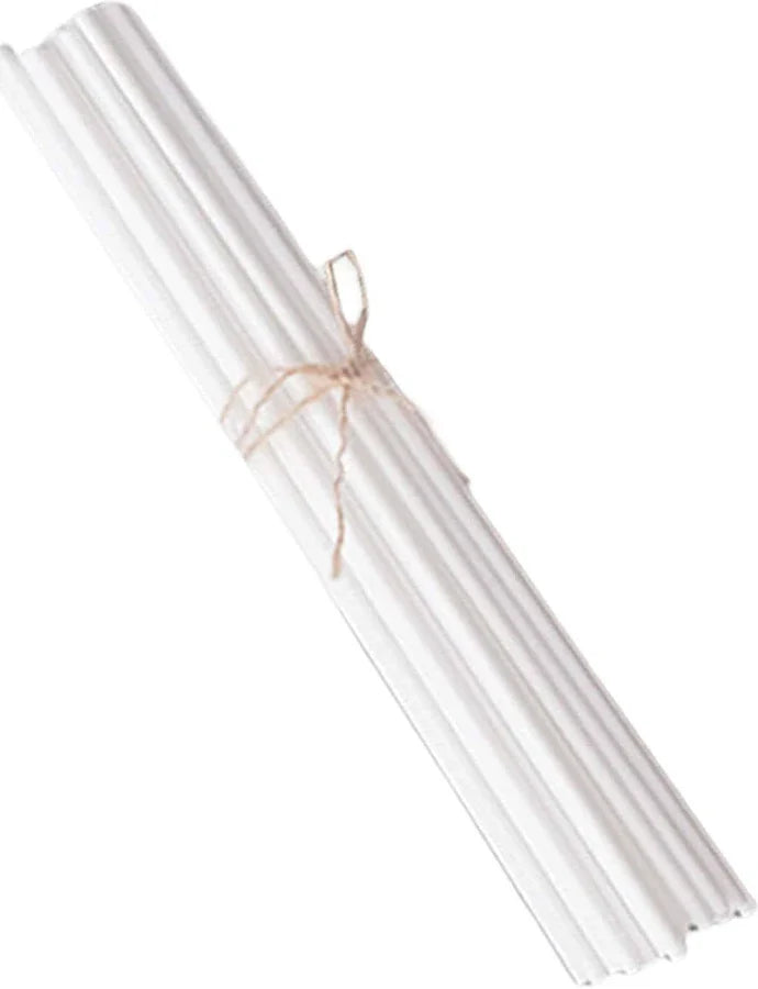 Reed / Aroma / Fragrance / Essential Oil / Perfume Diffuser Sticks (10 Pcs/Pack)